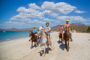Guanacaste: Horseback Riding Beach and Tropical Forest Tour
