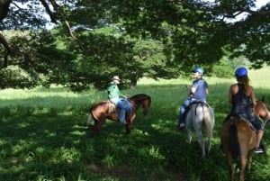 Guanacaste: Horseback Riding Tour on the Tropical Dry Forest