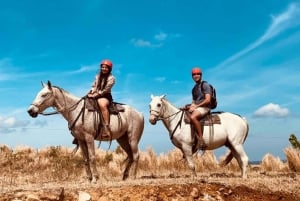 Guanacaste: Horseback Riding Tour on the Tropical Dry Forest