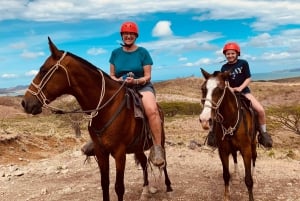 Guanacaste: Horseback Riding Tour on the Tropical Dry Forest