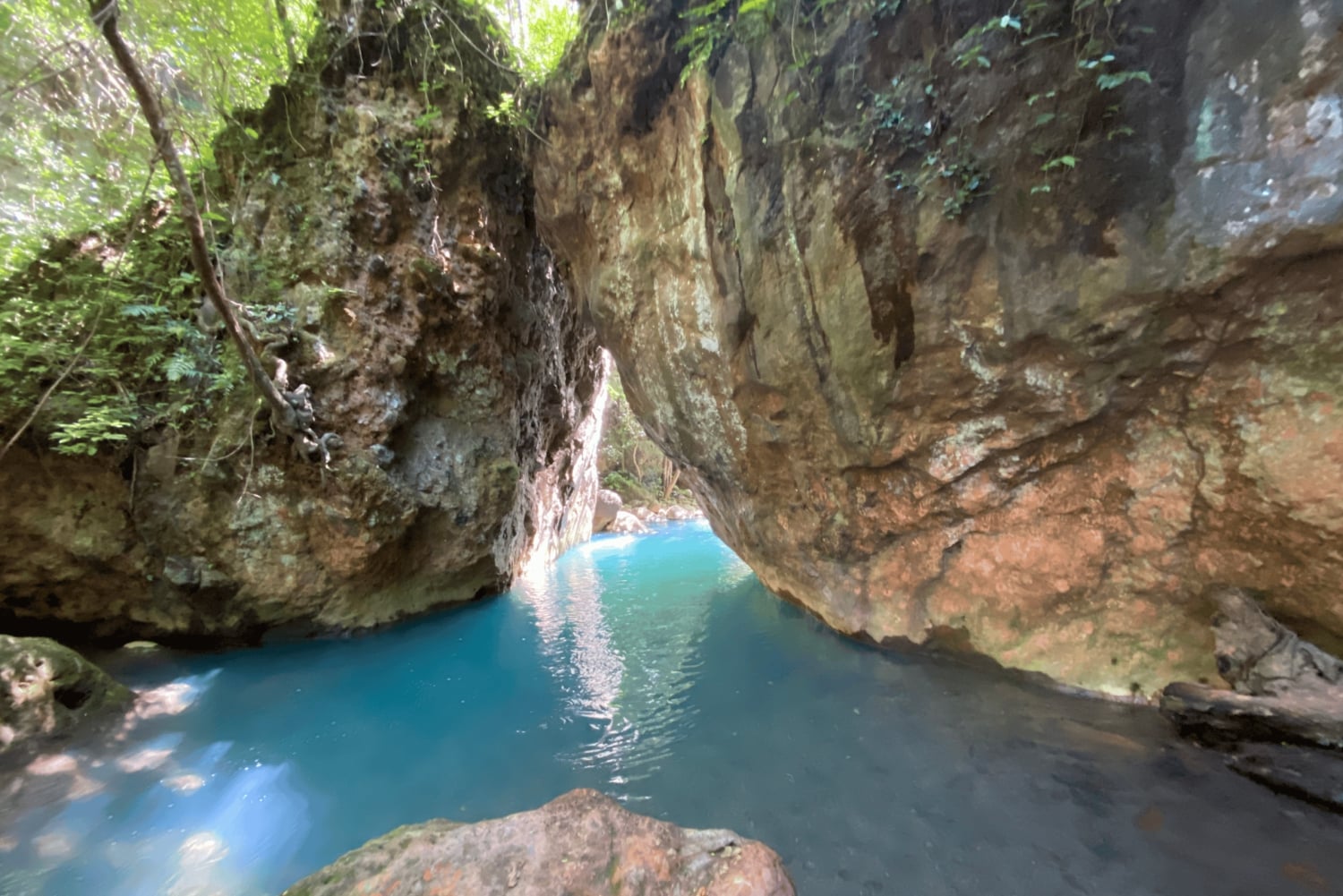Guanacaste: Fossevandring i La Leona-fossen med lunsj