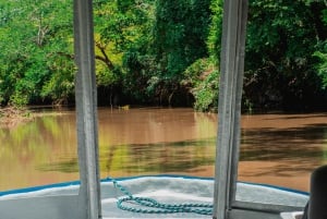 Guanacaste: Palo Verde båtturer