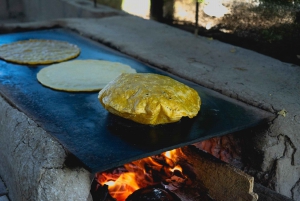 Guanacaste: Palo Verde båtturer