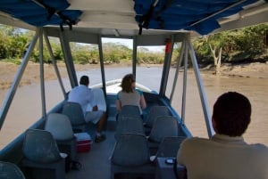 Guanacaste: jungle-riviercruise in Nationaal park Palo Verde