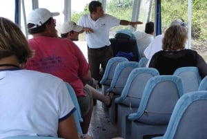Guanacaste: Palo Verde National Park Dschungel-Flusstour