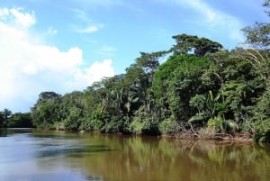 Parco Nazionale Palo Verde: crociera fluviale nella giungla da Guanacaste