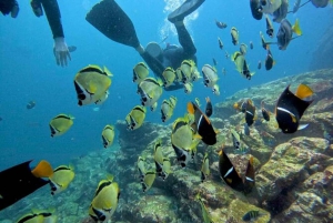 Guanacaste: Private Snorkeling Boat Charter