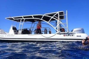 Guanacaste: Private Snorkeling Boat Charter