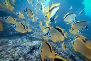 Guanacaste: Private Snorkeling Boat Charter