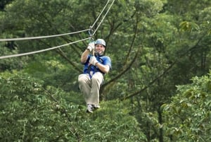 Guanacaste: tour con zipline del baldacchino della foresta pluviale