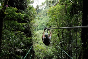 Guanacaste: excursão de tirolesa no dossel da floresta tropical