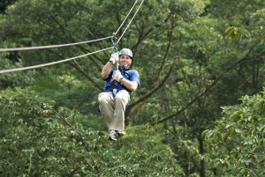 Guanacaste: Rainforest Canopy Zipline Tour