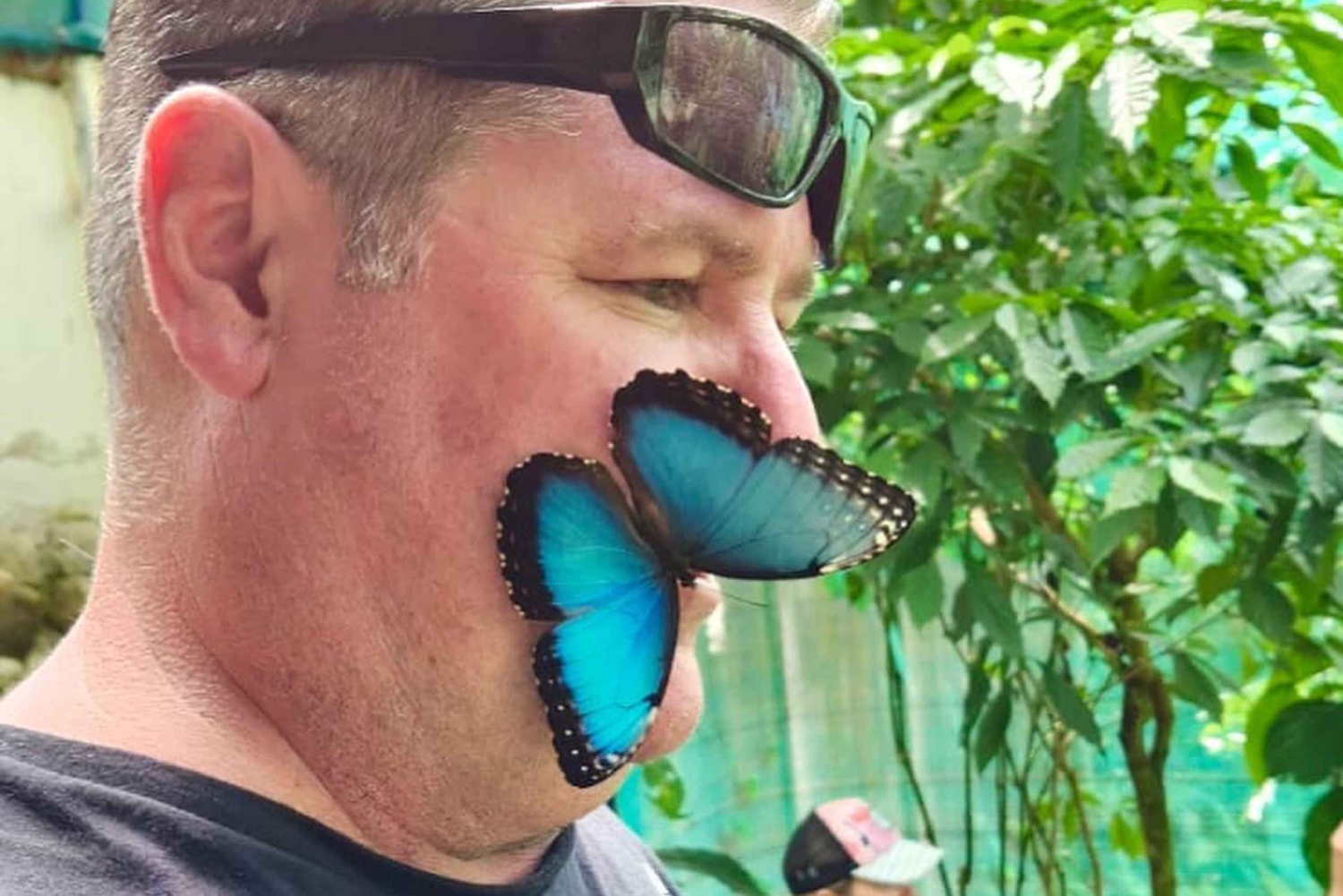 Guanacaste: viagem de um dia pela floresta tropical, preguiças e natureza com almoço