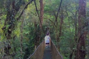 Guanacaste: dagtrip naar regenwoud, luiaards en natuur met lunch