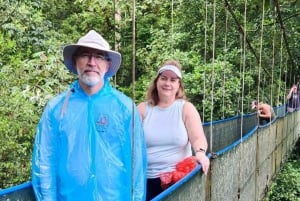 Guanacaste: Regnskog, sengångare och natur Dagsutflykt med lunch