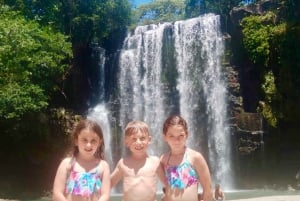 Guanacaste : Excursion d'une journée dans la forêt tropicale, les paresseux et la nature avec déjeuner