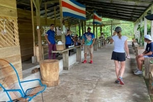 Guanacaste: viagem de um dia pela floresta tropical, preguiças e natureza com almoço