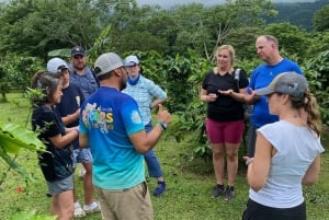 Guanacaste: Regnskog, sengångare och natur Dagsutflykt med lunch
