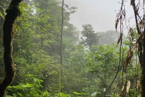 Guanacaste: dagtrip naar regenwoud, luiaards en natuur met lunch