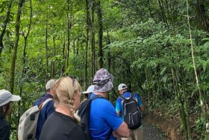 Guanacaste: Regnskog, sengångare och natur Dagsutflykt med lunch