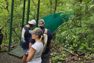Guanacaste: Regenwald, Faultiere und Natur Tagesausflug mit Mittagessen