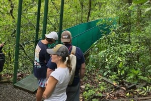 Guanacaste: dagtrip naar regenwoud, luiaards en natuur met lunch