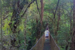Guanacaste: viagem de um dia pela floresta tropical, preguiças e natureza com almoço