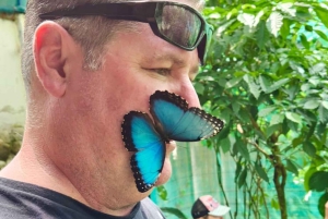 Guanacaste: viagem de um dia pela floresta tropical, preguiças e natureza com almoço