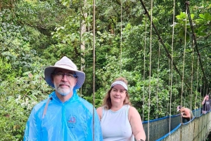 Guanacaste: viagem de um dia pela floresta tropical, preguiças e natureza com almoço