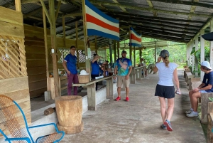 Guanacaste: viagem de um dia pela floresta tropical, preguiças e natureza com almoço