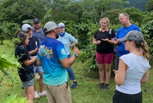 Guanacaste: viagem de um dia pela floresta tropical, preguiças e natureza com almoço