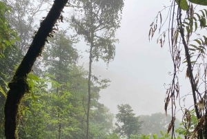 Guanacaste: viagem de um dia pela floresta tropical, preguiças e natureza com almoço