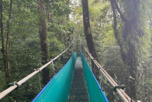 Guanacaste: viagem de um dia pela floresta tropical, preguiças e natureza com almoço