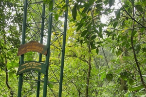 Guanacaste: viagem de um dia pela floresta tropical, preguiças e natureza com almoço