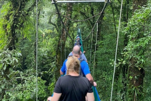 Guanacaste: viagem de um dia pela floresta tropical, preguiças e natureza com almoço
