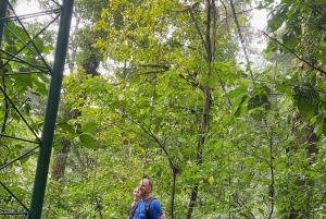 Guanacaste: viagem de um dia pela floresta tropical, preguiças e natureza com almoço