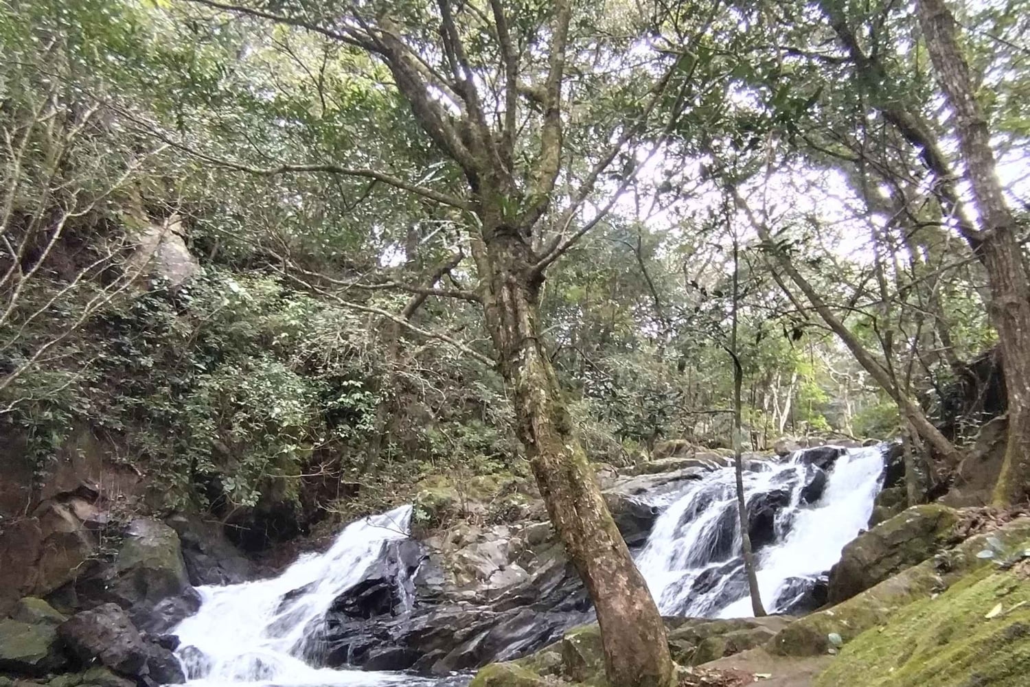 Guanacaste: escursione a Rincón de la Vieja, settore Santa Maria