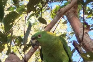 Guanacaste: escursione a Rincón de la Vieja, settore Santa Maria