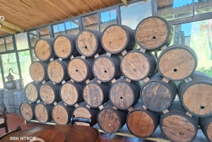 Guanacaste: wycieczka prywatna – rum i browar