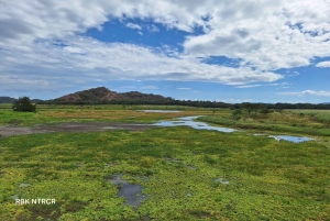 Guanacaste: wycieczka prywatna – rum i browar