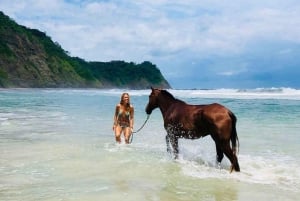 Guanacaste: Safari & Buenavista Beach Horse Riding Tour