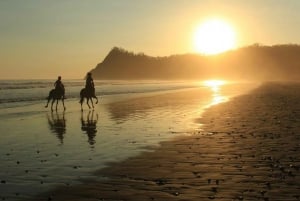 Guanacaste: Safari & Buenavista Beach Horse Riding Tour