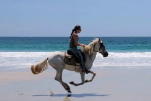 Guanacaste: Safari & Buenavista Beach Horse Riding Tour