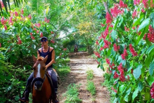 Guanacaste: Safari-ridetur i junglen