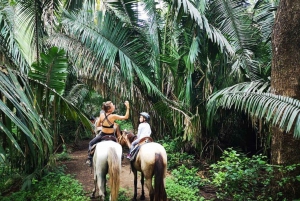 Guanacaste: Safari-ridetur i junglen