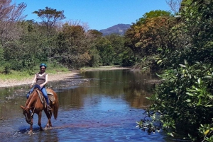 Guanacaste: Safari-ridetur i junglen