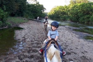 Guanacaste: Safari-ridetur i junglen