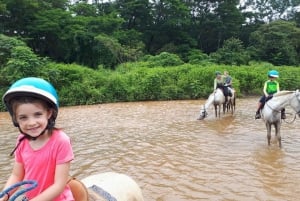 Guanacaste: Safari-ridetur i junglen