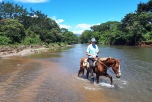 Guanacaste: Safari-ridetur i junglen