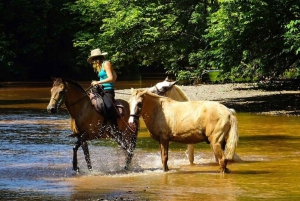 Guanacaste: Safari-ridetur i junglen